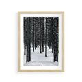 Plakat w ramie 30x40 - Zimowe Drzewa: Śnieg na Pniach - drzew w zimi, pnie drzew - rama drewno