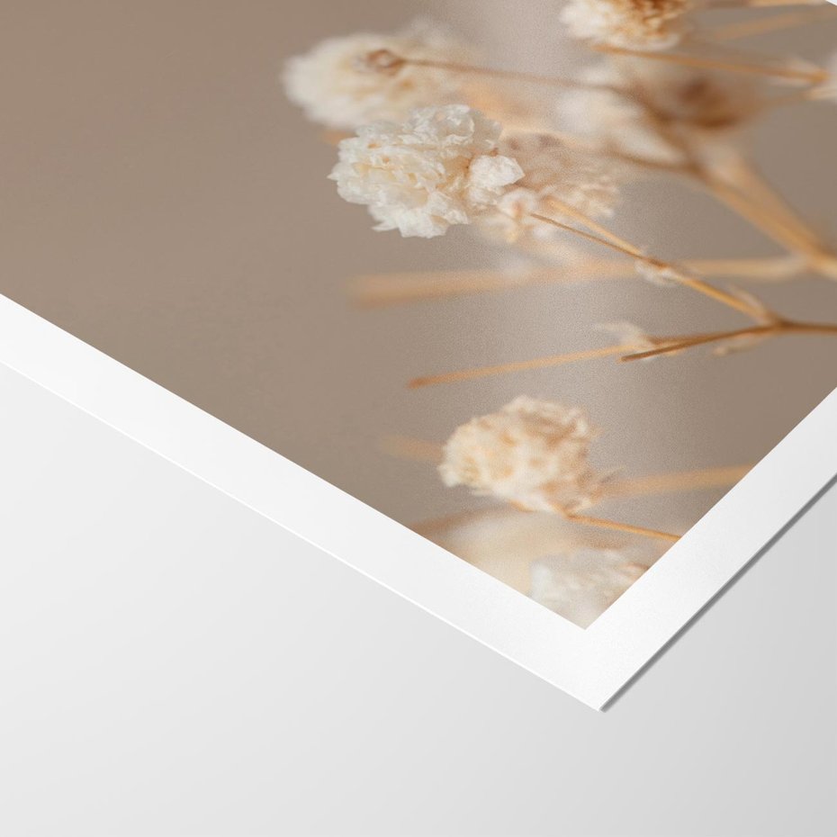 Plakat bez ramy 50x70 - Przezroczyste piękno - gipsówka, suche