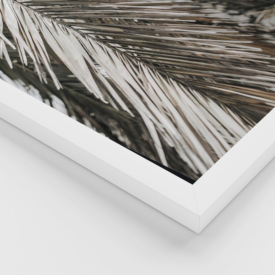 Zestaw obrazy w ramie 50x70 galeria - Pozytywny, cytat, palmy, wakacje - rama biała