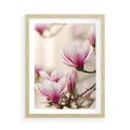 Plakat w ramie 50x70 - Urok Magnolii - magnolie, kwiaty - rama drewno