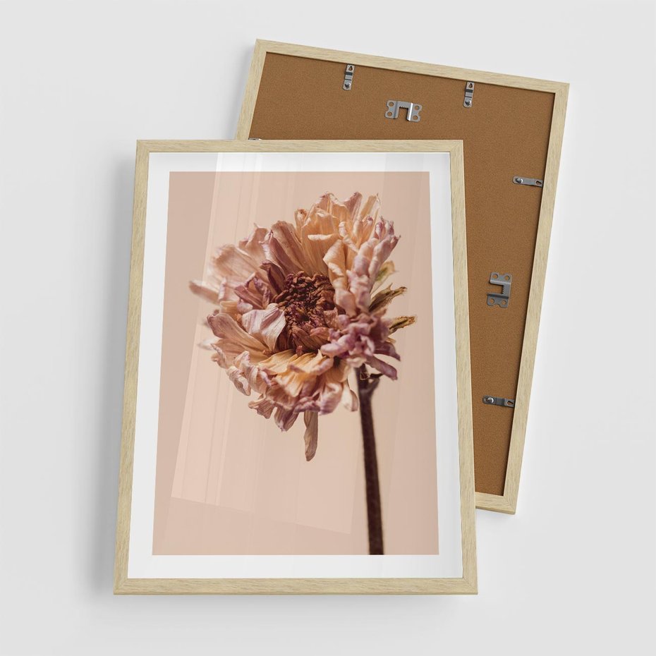 Plakat w ramie 50x70 - Delikatne piękno - suche, kwiaty - rama drewno