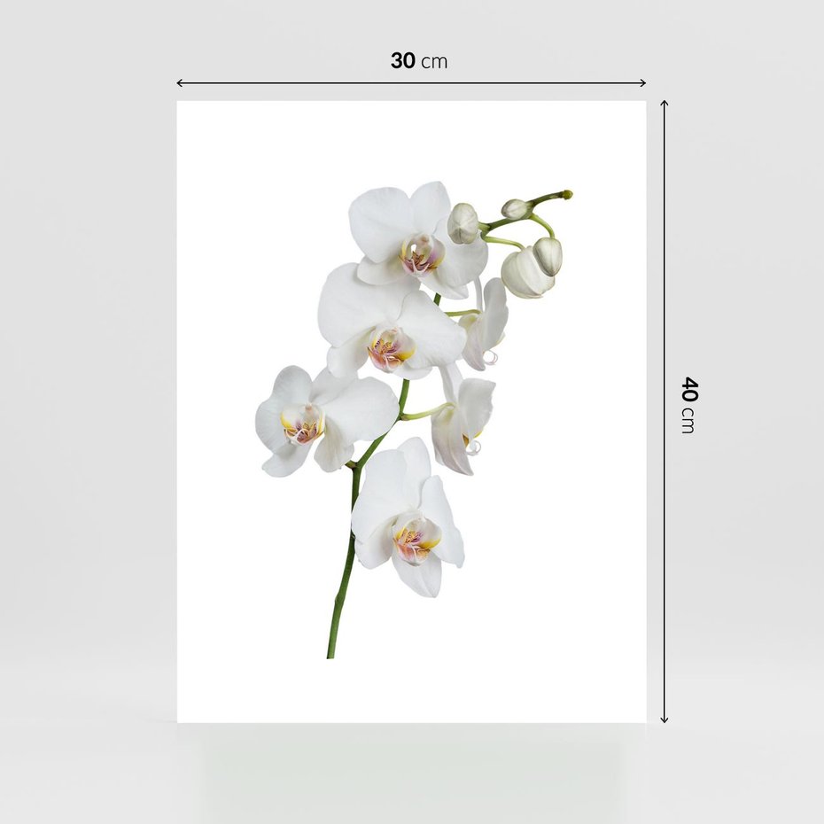 Plakat bez ramy 30x40 - Ekskluzywny Relaks - storczyk, spa