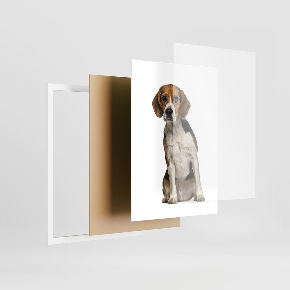 Plakat w ramie 30x40 - Wierność i radość - pies, piesek - rama biała