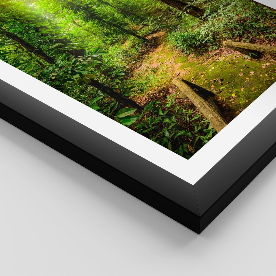 Plakat w ramie 30x40 - Współistnienie z naturą - drzewa, las - rama czarna