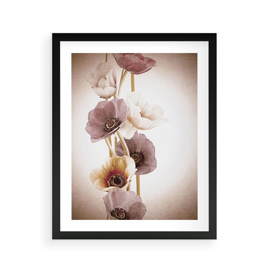Plakat w ramie 40x50 - Eksplozja kolorów - akwarela, maki - rama czarna