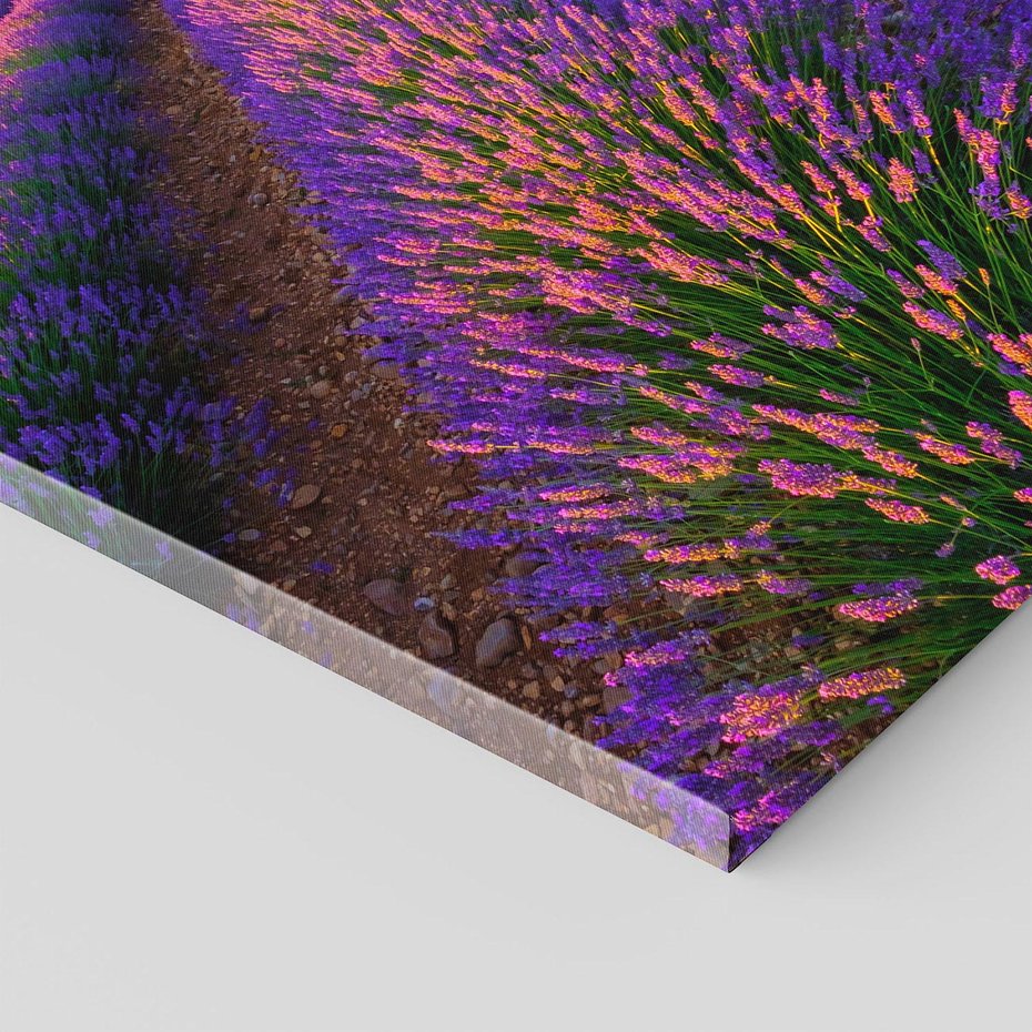 Obraz na płótnie 80x80 - Fioletowa Magia - pole, lawendy