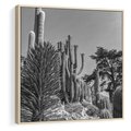 Obraz w ramie 50x50 - Pustynny Klimat - czarno białe zdjecie, pustynia - rama drewno