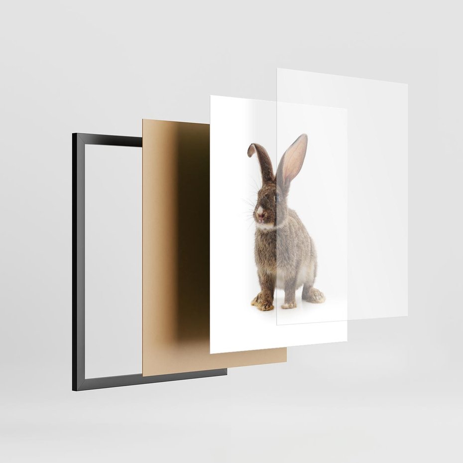 Plakat w ramie 50x70 - Delikatna Zwierzęca Uroda - królik, zwierzę - rama czarna