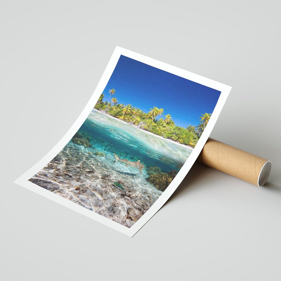 Plakat bez ramy 50x70 - Tropikalne Morze i Kolorowa Rafa - tropikalne, morze