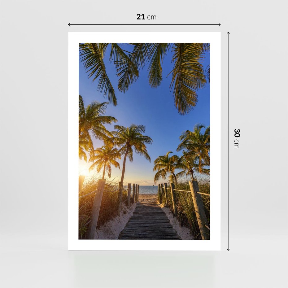 Plakat bez ramy 21x30 - Rajskie palmy w tropikalnym raju - palmy, tropiki