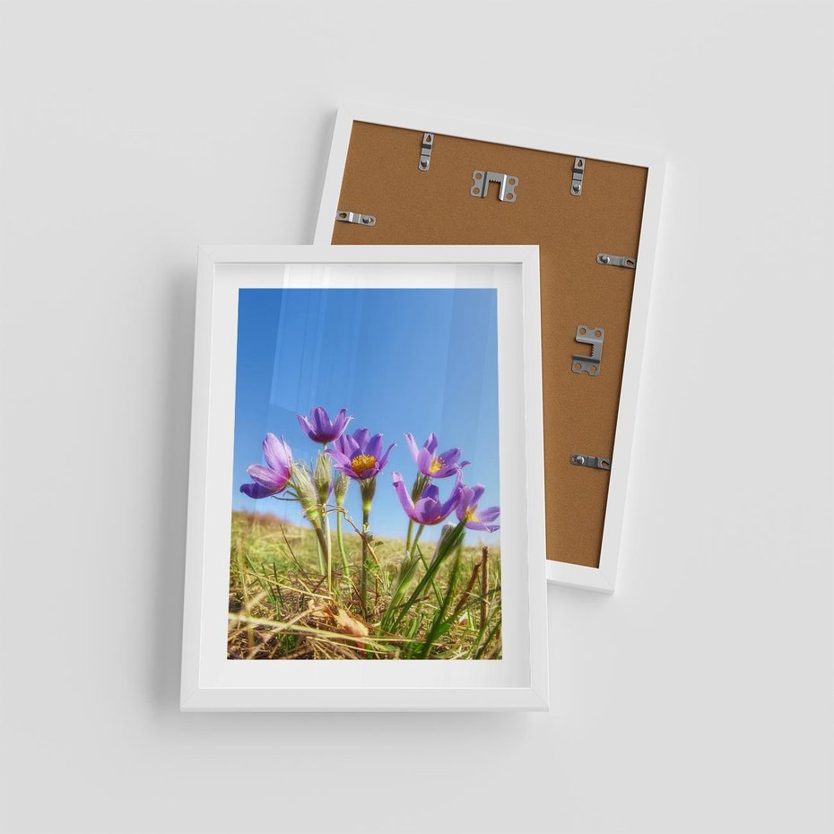 Plakat w ramie 30x40 - Kwiatowa siła łąki - kwiaty, łąka - rama biała