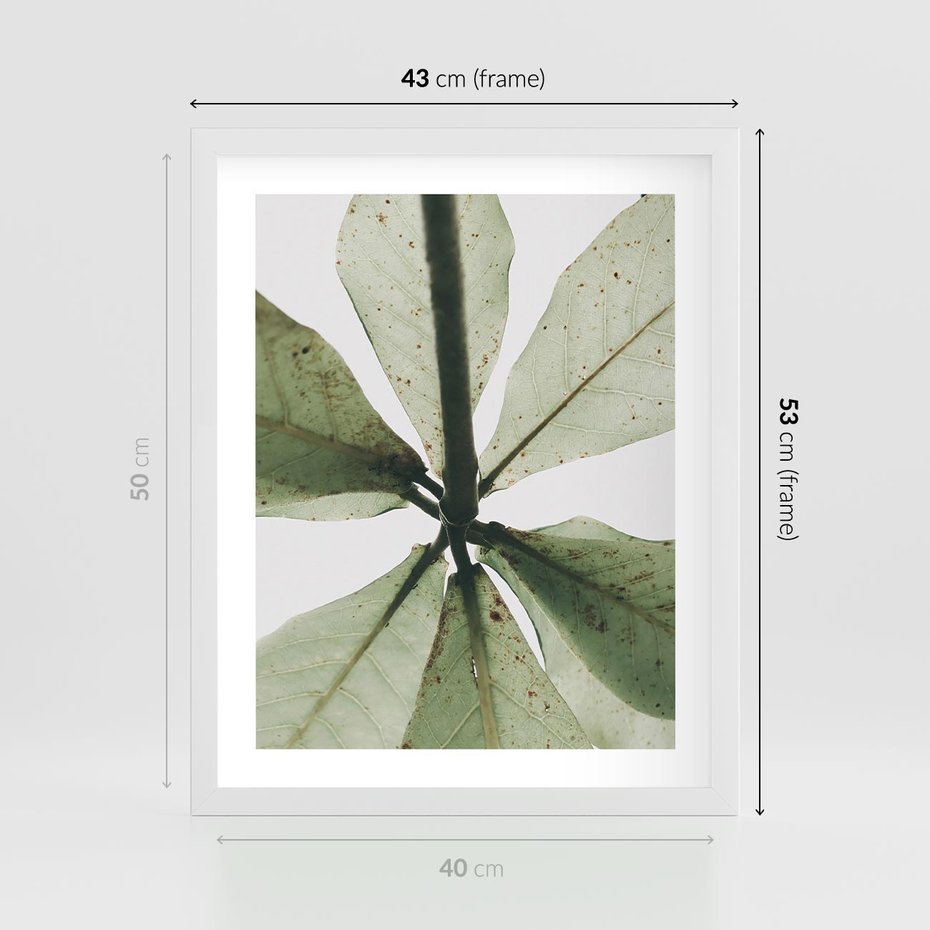 Plakat w ramie 40x50 - Jasna Zieleń w Makro - makro zdjęcie liści, jasna zieleń - rama biała