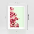 Plakat w ramie 30x40 - Orchidea - delikatne kwiaty - orchidea, kwiaty - rama biała