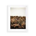 Plakat w ramie 30x40 - Krajobraz W Naturze: Beże i Brązy - suche krzewy, natura - rama biała