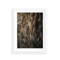 Plakat w ramie 30x40 - Tekstura Drewna: Zbliżenie - zbliżenie na pień drzewa, tekstura - rama biała