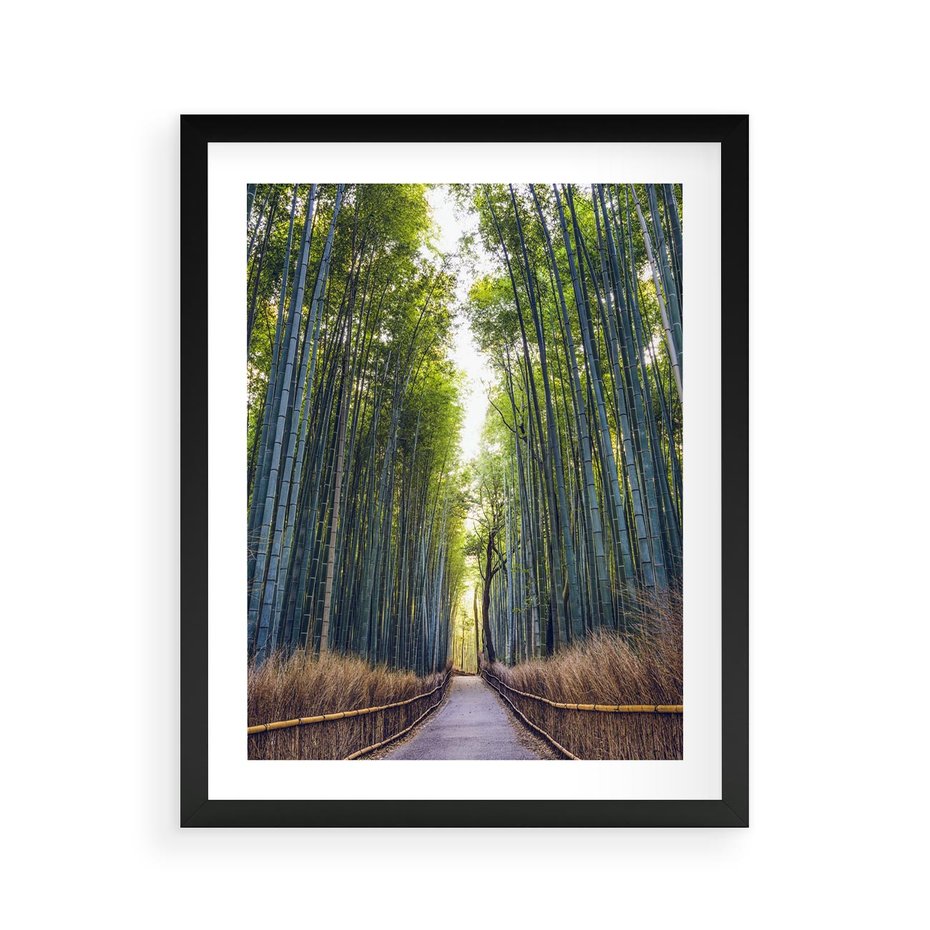 Plakat w ramie 40x50 - Urokliwa dróżka w lesie - las, dróżka - rama czarna