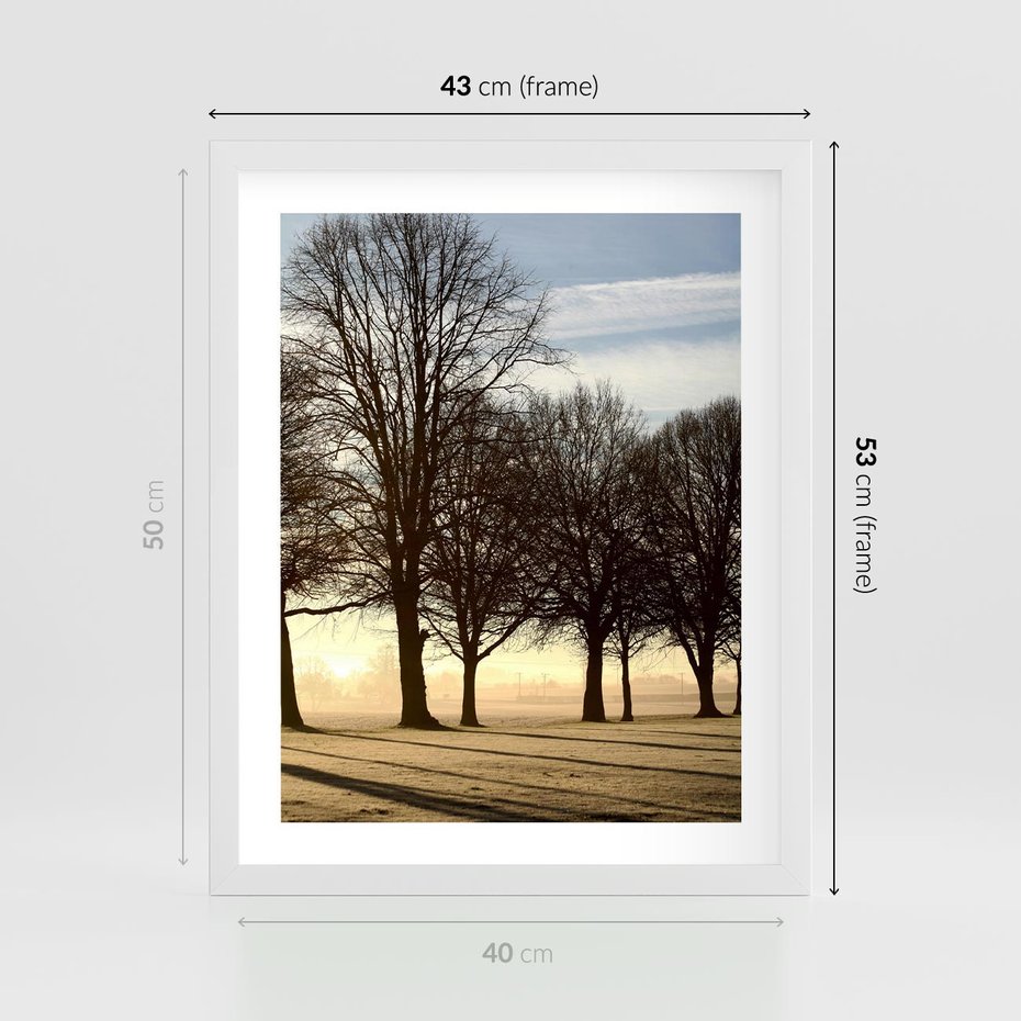 Plakat w ramie 40x50 - Siła natury - drzewa, pole - rama biała