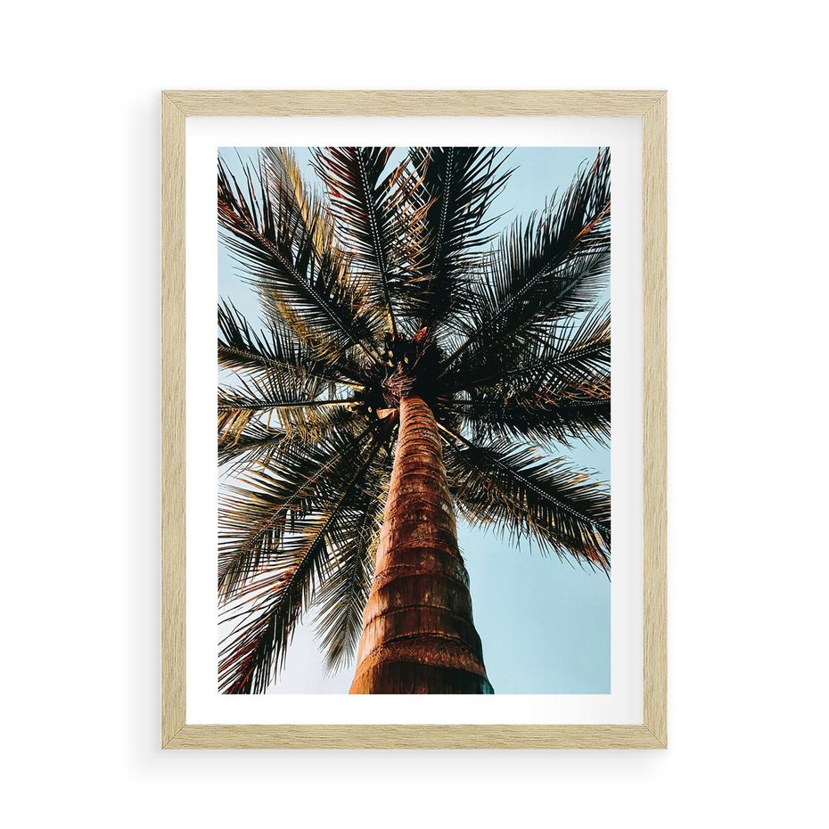 Plakat w ramie 50x70 - Rajskie Inspiracje: Palma na Niebie - palma, na tle nieba - rama drewno