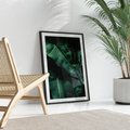 Plakat bez ramy 50x70 - Liście Bananowca - minimalizm, zielone liście bananowca
