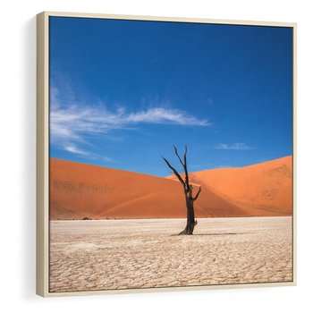 Obraz w ramie 50x50 - Słońce i Suche Drzewo - pustynia, suche - rama drewno