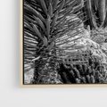 Obraz w ramie 80x120 - Pustynny Klimat - czarno białe zdjecie, pustynia - rama drewno