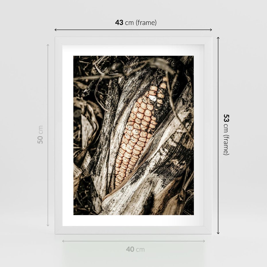 Plakat w ramie 40x50 - Kukurydza w Jesiennej Scenie - kukurydza, jesień - rama biała