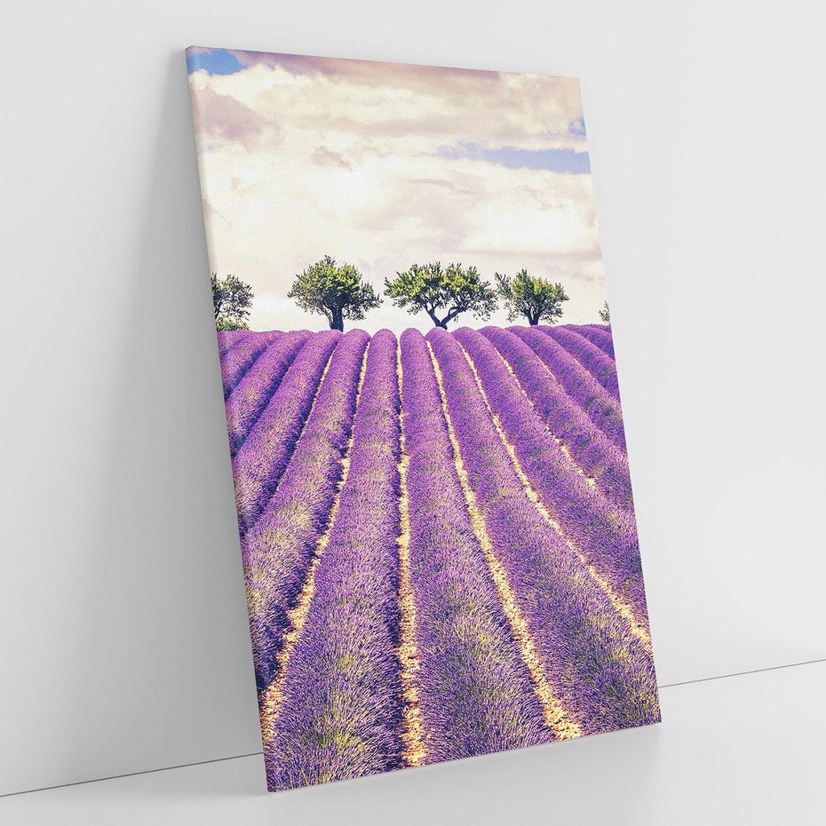 Obraz na płótnie 70x100 - Uroda Lawendy: Kwiatowy Cud Natury - lawenda, kwiaty