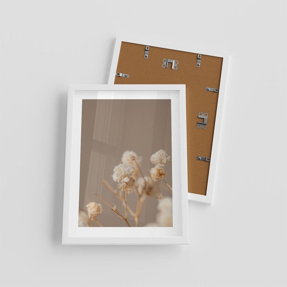 Plakat w ramie 30x40 - Przezroczyste piękno - gipsówka, suche - rama biała