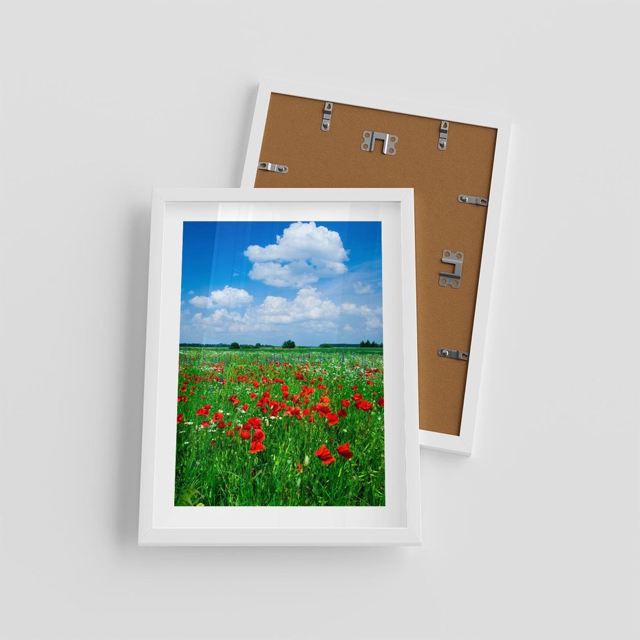 Plakat w ramie 30x40 - Kolorowa łąka pełna maku - łąka, maki - rama biała