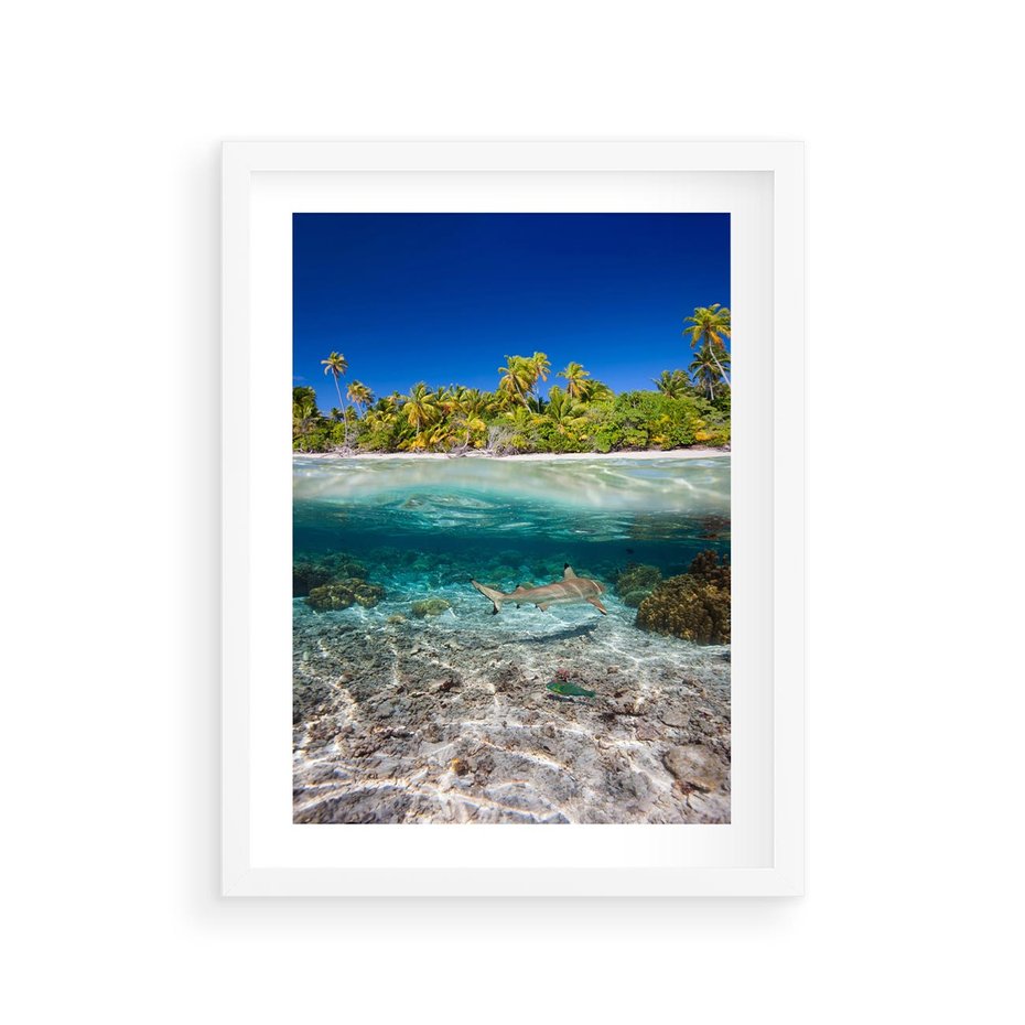 Plakat w ramie 30x40 - Tropikalne Morze i Kolorowa Rafa - tropikalne, morze - rama biała