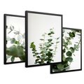 Zestaw obrazy w ramie 30x40 galeria - Eukaliptus, zielone, liście, minimalizm - rama czarna