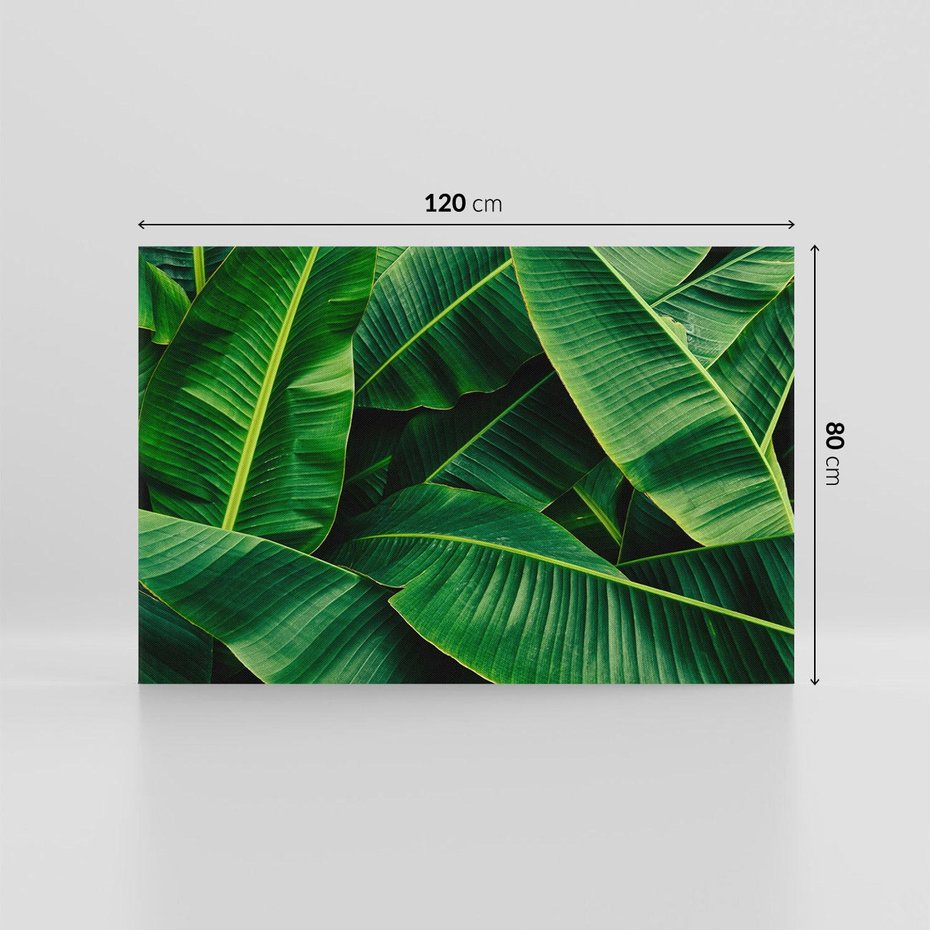 Obraz na płótnie 120x80 - Zaklęta roślinna ekspresja - liście bananowca, gęsto ułożone
