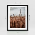 Plakat w ramie 40x50 - Wysokie Trawy w Górskim Krajobrazie - suche trawy, wysokie trawy - rama czarna