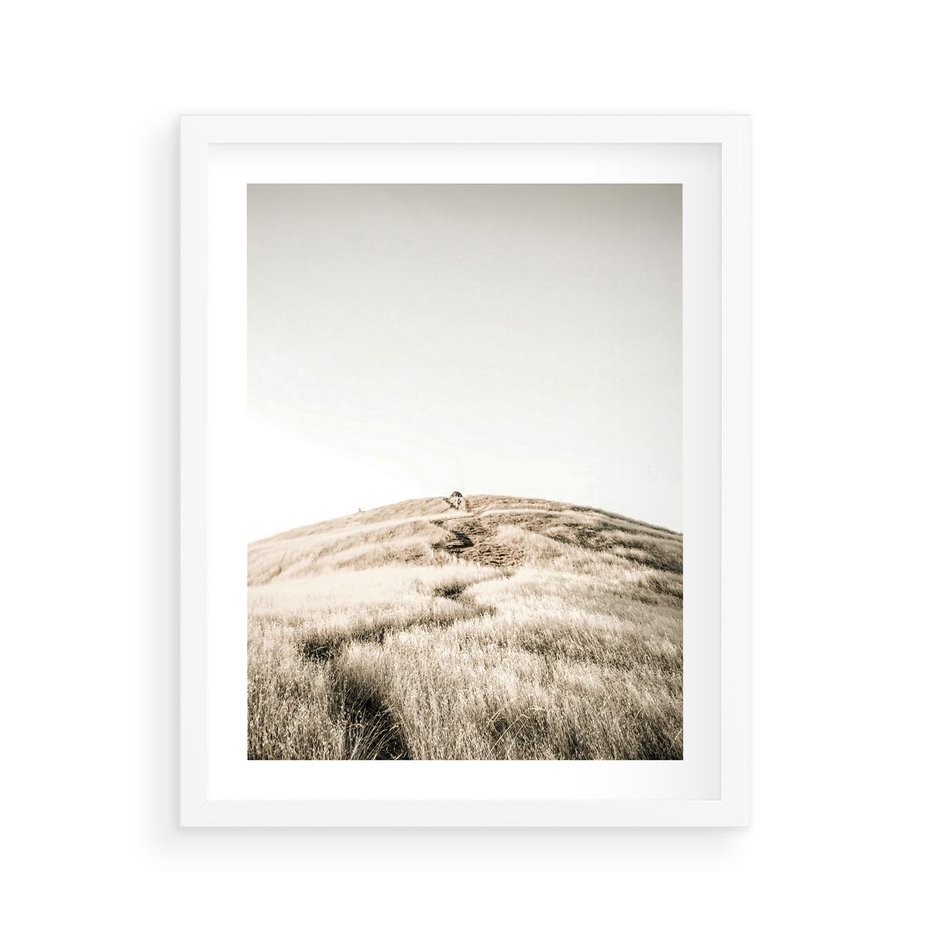 Plakat w ramie 40x50 - Wzgórze w Odcieniach Sepii - wzgórze, trawy - rama biała