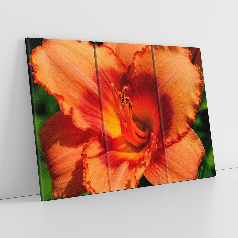 Obraz na płótnie 120x80 - Kwiatowa harmonia natury - kwiat, kwiaty