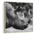 Obraz w ramie 50x50 - Potęga Afryki - czarno biała fotografia, zbliżenie na postać nosorożca - rama drewno