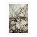 Plakat bez ramy 30x40 - Lekkie dmuchawce - dmuchawce, krople