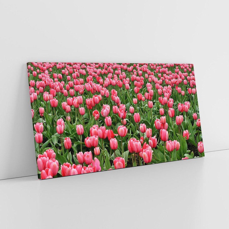 Obraz na płótnie 120x60 - Tulipanowe Elegancja - tulipany, kwiat