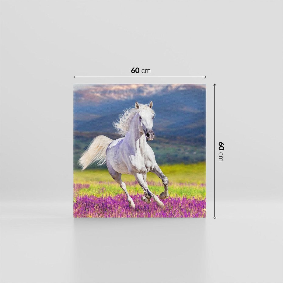 Obraz na płótnie 60x60 - Koń Góry: Spotkanie z Wielką Przyrodą - koń, góry