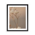 Plakat w ramie 40x50 - Subtelna gipsówka - gipsówka, suche - rama czarna