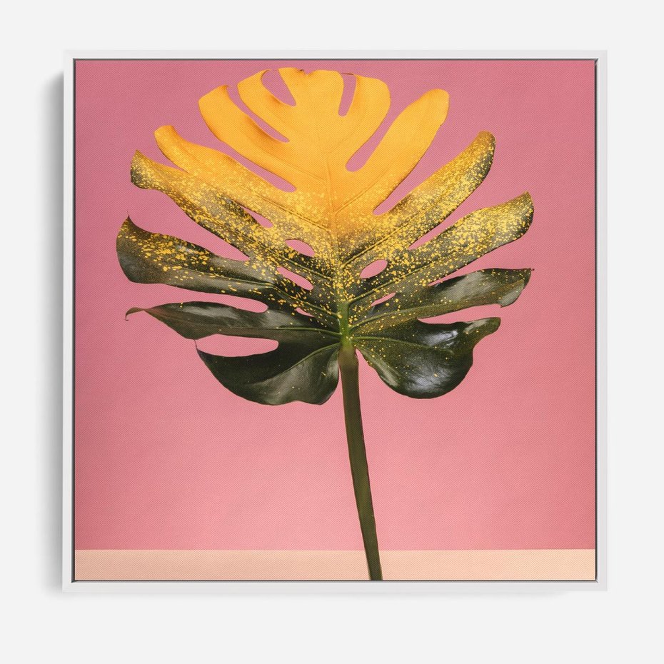 Obraz w ramie 80x80 - Majestatyczna monstera - monstera, liść - rama biała