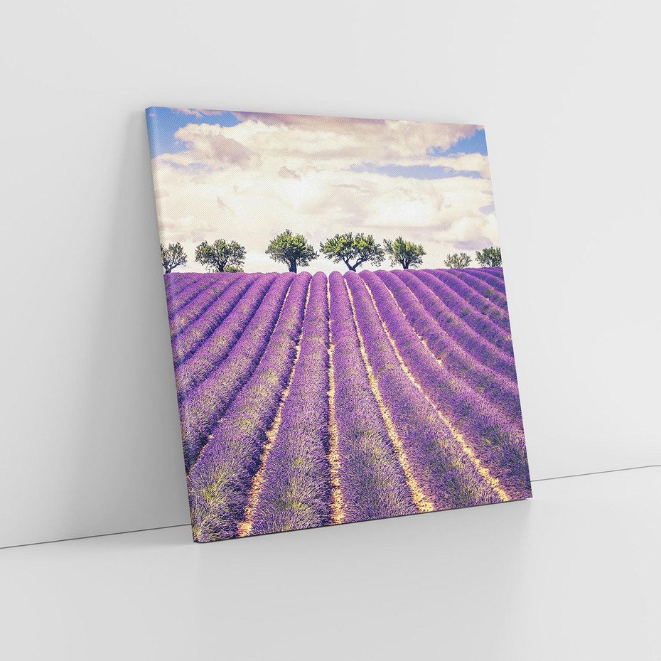 Obraz na płótnie 50x50 - Uroda Lawendy: Kwiatowy Cud Natury - lawenda, kwiaty