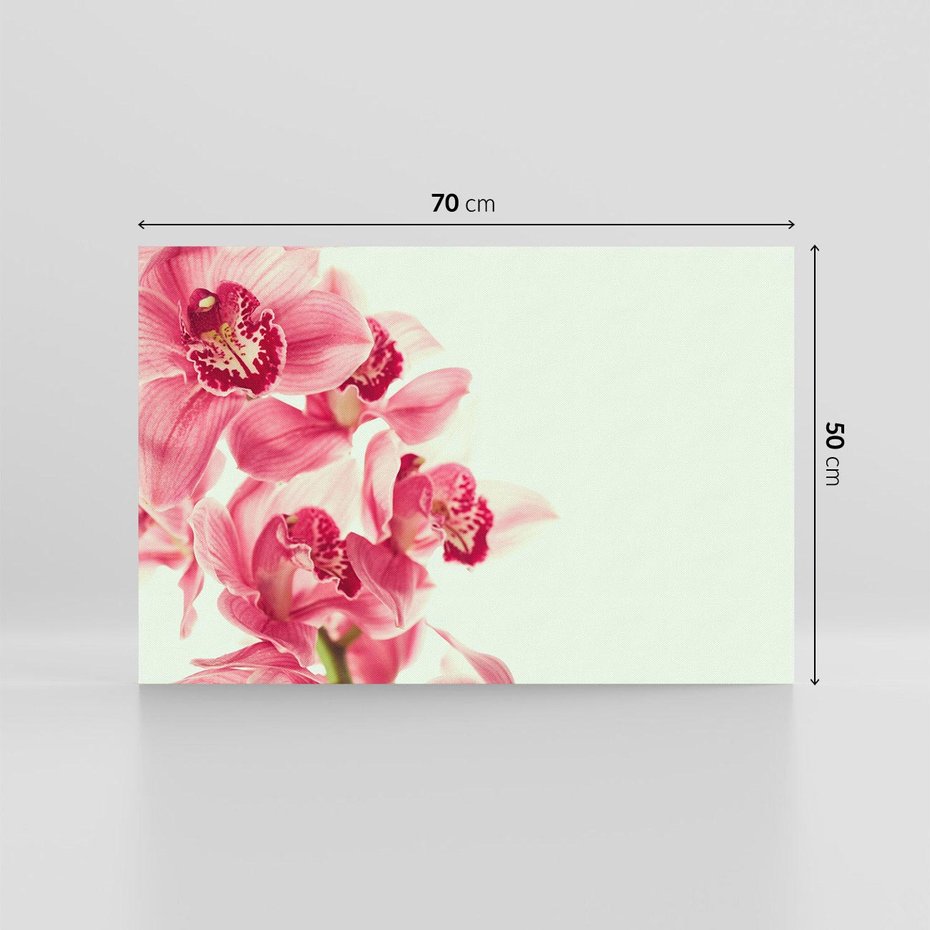 Obraz na płótnie 70x50 - Orchidea - delikatne kwiaty - orchidea, kwiaty