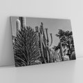 Obraz na płótnie 100x70 - Pustynny Klimat - czarno białe zdjecie, pustynia