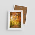 Plakat w ramie 30x40 - Złote barwy jesiennego lasu - las, jesień - rama biała