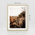 Plakat w ramie 40x50 - Jesienna Harmonia - suche paprocie, jesienny krajobraz - rama drewno