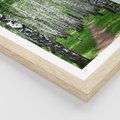 Plakat w ramie 30x40 - Magia lasu pełnego brzóz - las, brzozy - rama drewno