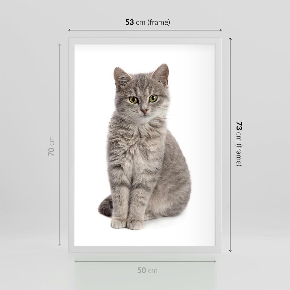 Plakat w ramie 50x70 - Kocie uroki na płótnie - kot, kotek - rama biała