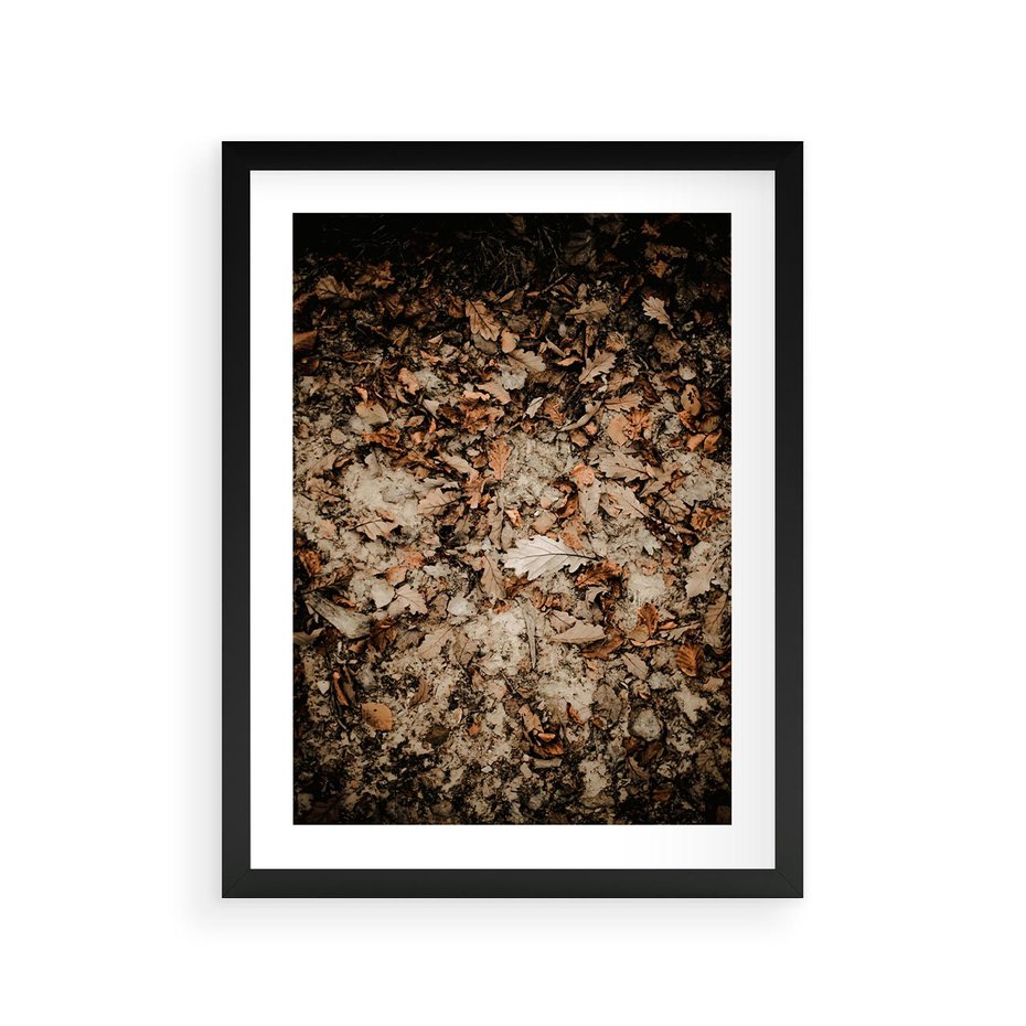 Plakat w ramie 30x40 - Suchość Liści w Brązowych Tonach - suche liście jesień brąz - rama czarna
