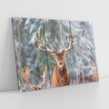 Obraz na płótnie 120x80 - Monarcha Zimowej Dziczy - jeleń, zima